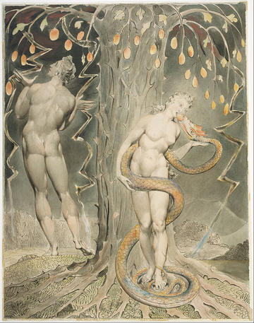 william blake  the temptation and fall of eve illustration to miltons paradise lost  google art project